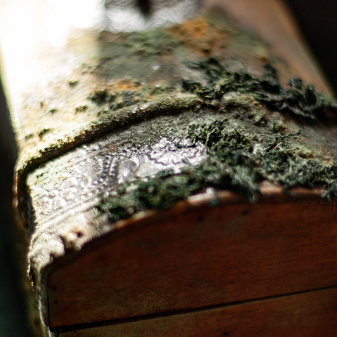 Онлайн-школа Кристины Елизаровой «ДЕКОРАТОРСКОЕ ИСКУССТВО» Онлайн-школа Кристины Елизаровой «ДЕКОРАТОРСКОЕ ИСКУССТВО»