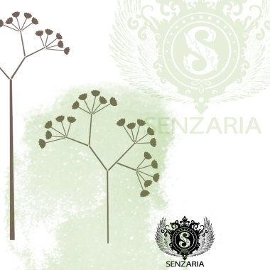 Трафарет - Полевые травы набор